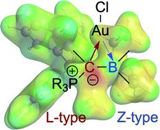 Graphical abstract: A neutral, acyclic, borataalkene-like ligand for group 11 metals: L- and Z-type ligands side by side