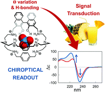 Graphical abstract: Chiroptical sensing of perrhenate in aqueous media by a chiral organic cage