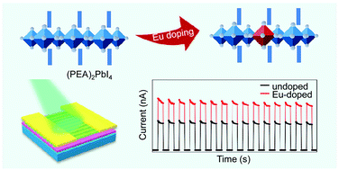 Graphical abstract: Defect engineering in two-dimensional perovskite nanowire arrays by europium(iii) doping towards high-performance photodetection