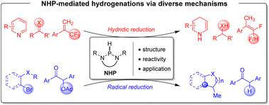Graphical abstract: Synthetic applications of NHPs: from the hydride pathway to a radical mechanism