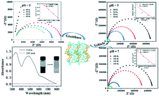 Graphical abstract: Preparation and characterization of a newly constructed multifunctional Co(ii)–organic framework: proton conduction and adsorption of Congo red in aqueous medium