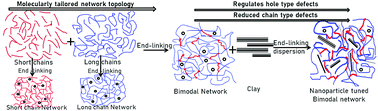 Graphical abstract: Nanoparticles can modulate network topological defects during multimodal elastomer formation