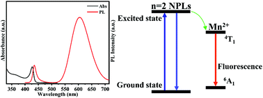 Graphical abstract: Facile synthesis of Mn2+ doped ultrathin (n = 2) NPLs and their application in anti-counterfeiting