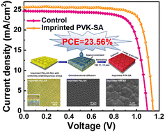 Graphical abstract: Omnidirectional diffusion of organic amine salts assisted by ordered arrays in porous lead iodide for two-step deposited large-area perovskite solar cells