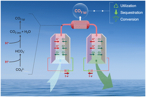 Graphical abstract: Asymmetric chloride-mediated electrochemical process for CO2 removal from oceanwater
