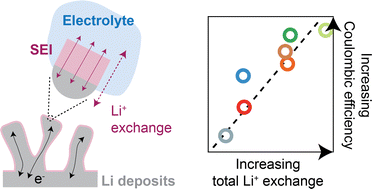 Graphical abstract: Beneficial vs. inhibiting passivation by the native lithium solid electrolyte interphase revealed by electrochemical Li+ exchange