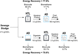 Graphical abstract: Enhancing energy recovery of wastewater treatment plants through hydrothermal liquefaction