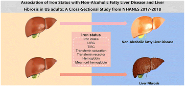 Graphical abstract: Association of iron status with non-alcoholic fatty liver disease and liver fibrosis in US adults: a cross-sectional study from NHANES 2017–2018