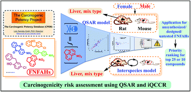 Graphical abstract: Systematic QSAR and iQCCR modelling of fused/non-fused aromatic hydrocarbons (FNFAHs) carcinogenicity to rodents: reducing unnecessary chemical synthesis and animal testing