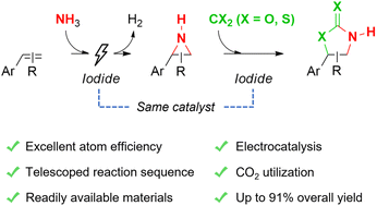 Graphical abstract: Tandem electrocatalytic aziridination – ring expansion of simple aromatic olefins using ammonia and carbon dioxide