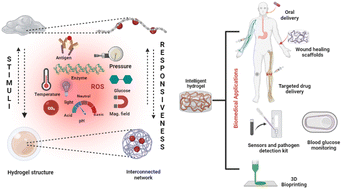 Graphical abstract: Intelligent hydrogels and their biomedical applications