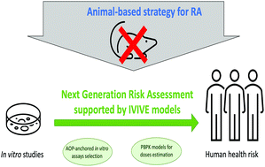 Graphical abstract: In vitro to in vivo extrapolation to support the development of the next generation risk assessment (NGRA) strategy for nanomaterials