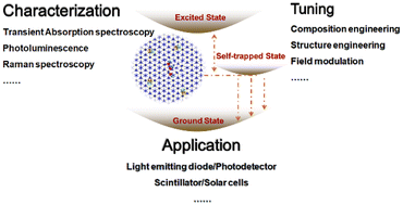 Graphical abstract: Self-trapped excitons in soft semiconductors