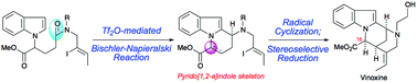 Graphical abstract: Total synthesis of (±)-vinoxine: construction of the bridged pyrido[1,2-a]indole skeleton via Tf2O-mediated Bischler–Napieralski reaction and stereoselective radical cyclization