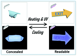 Graphical abstract: Multi-level encryption of information in morphing hydrogels with patterned fluorescence