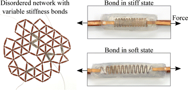 Graphical abstract: Reprogrammable allosteric metamaterials from disordered networks