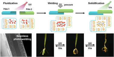 Graphical abstract: Three-dimensional liquid crystal polymer actuators assembled by athermal photo-welding