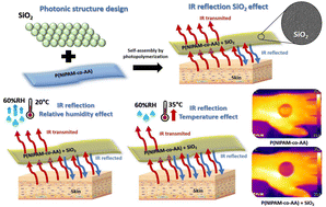 Graphical abstract: Environmentally responsive hydrogel composites for dynamic body thermoregulation