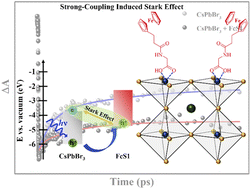 Graphical abstract: Perovskite photocatalysis: realizing long-lived charge-separated states at the interface of CsPbBr3 nanocrystals and functionalized ferrocene molecules
