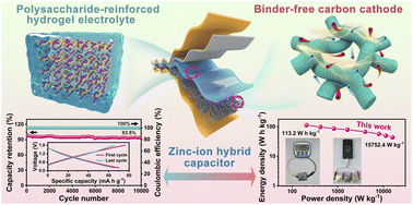 Graphical abstract: A flexible and stable zinc-ion hybrid capacitor with polysaccharide-reinforced cross-linked hydrogel electrolyte and binder-free carbon cathode