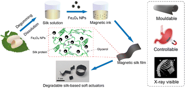 Graphical abstract: Degradable silk-based soft actuators with magnetic responsiveness