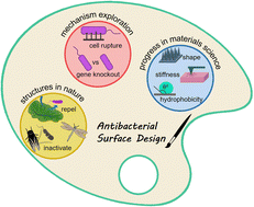 Graphical abstract: Antibacterial features of material surface: strong enough to serve as antibiotics?