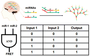 Graphical abstract: Heteromultivalent scaffolds fabricated by biomimetic co-assembly of DNA–RNA building blocks for the multi-analysis of miRNAs