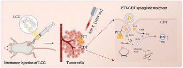 Graphical abstract: Second near-infrared photoactivatable nanomedicines for enhanced photothermal–chemodynamic therapy of cancer