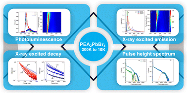 Graphical abstract: Temperature dependent scintillation properties and mechanisms of (PEA)2PbBr4 single crystals