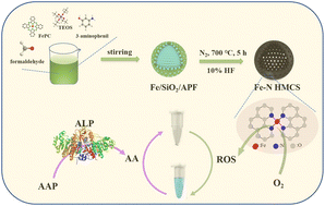 Graphical abstract: Fe–N hollow mesoporous carbon spheres with high oxidase-like activity for sensitive detection of alkaline phosphatase