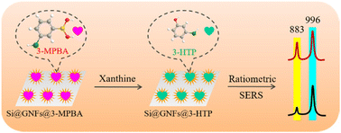 Graphical abstract: A ratiometric SERS sensor with one signal probe for ultrasensitive and quantitative monitoring of serum xanthine