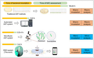 Graphical abstract: A capillary-based centrifugal indicator equipped with in situ pathogenic bacteria culture for fast antimicrobial susceptibility testing