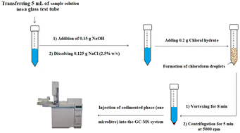 Graphical abstract: In situ formation of chloroform for dispersive liquid–liquid microextraction of some aromatic amines from aqueous samples optimized by central composite design prior to GC-MS analysis