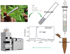 Graphical abstract: Sensitive determination of 11-nor-9-carboxy-Δ9-tetrahydrocannabinol in wastewater by solid-phase extraction with pre-column derivatization and liquid chromatography-tandem mass spectrometry
