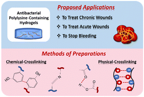 Graphical abstract: Antibacterial polylysine-containing hydrogels for hemostatic and wound healing applications: preparation methods, current advances and future perspectives