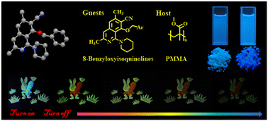 Graphical abstract: Crystal structures, dual-state emissions and polymer-based doped room-temperature phosphorescence of 8-benzyloxyisoquinoline derivatives