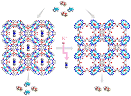 Graphical abstract: Cation exchange in an anionic metal–organic framework enhancing propylene/propane separation