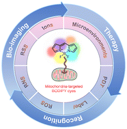 Graphical abstract: Mitochondria-targeted BODIPY dyes for small molecule recognition, bio-imaging and photodynamic therapy