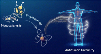 Graphical abstract: Nanocatalysts for modulating antitumor immunity: fabrication, mechanisms and applications