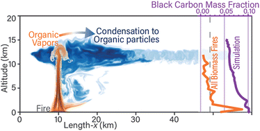 Graphical abstract: Insights into Pyrocumulus aerosol composition: black carbon content and organic vapor condensation