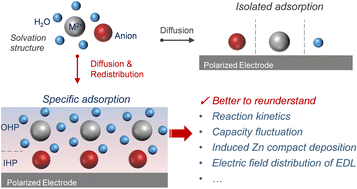 Graphical abstract: Reunderstanding aqueous Zn electrochemistry from interfacial specific adsorption of solvation structures