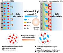 Graphical abstract: Preferred planar crystal growth and uniform solid electrolyte interfaces enabled by anion receptors for stable aqueous Zn batteries