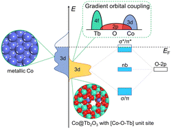 Graphical abstract: Terbium-induced cobalt valence-band narrowing boosts electrocatalytic oxygen reduction