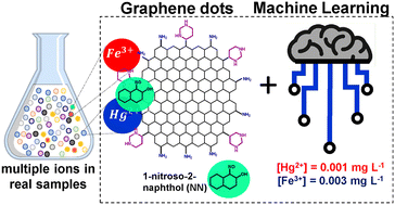 Graphical abstract: Fluorescent graphene quantum dots-enhanced machine learning for the accurate detection and quantification of Hg2+ and Fe3+ in real water samples