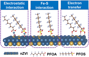 Graphical abstract: Selective perfluorooctanoic acid (PFOA) and perfluorooctane sulfonate (PFOS) adsorption by nanoscale zero-valent iron (nZVI): performance and mechanisms