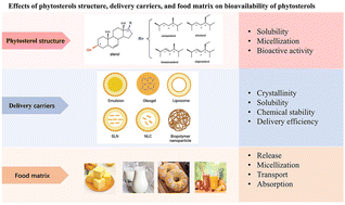 Graphical abstract: Effects of food formulation on bioavailability of phytosterols: phytosterol structures, delivery carriers, and food matrices