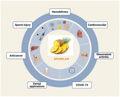 Graphical abstract: Bromelain: a review of its mechanisms, pharmacological effects and potential applications