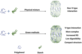 Graphical abstract: A review of green methods used in starch–polyphenol interactions: physicochemical and digestion aspects