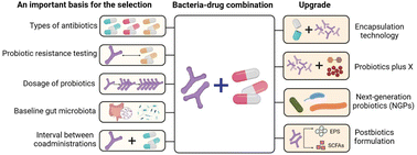 Graphical abstract: Strategies for applying probiotics in the antibiotic management of Clostridioides difficile infection