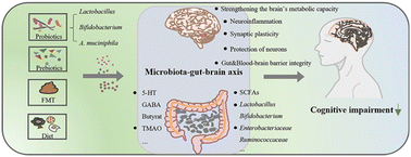 Graphical abstract: Gut microbiome-based therapies for alleviating cognitive impairment: state of the field, limitations, and future perspectives